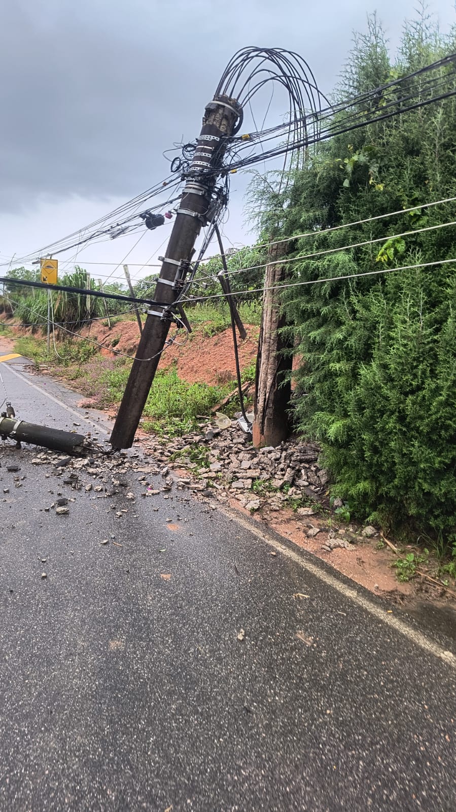 Chuva derruba árvore, faz asfalto afundar e quebra poste na Sandaniel